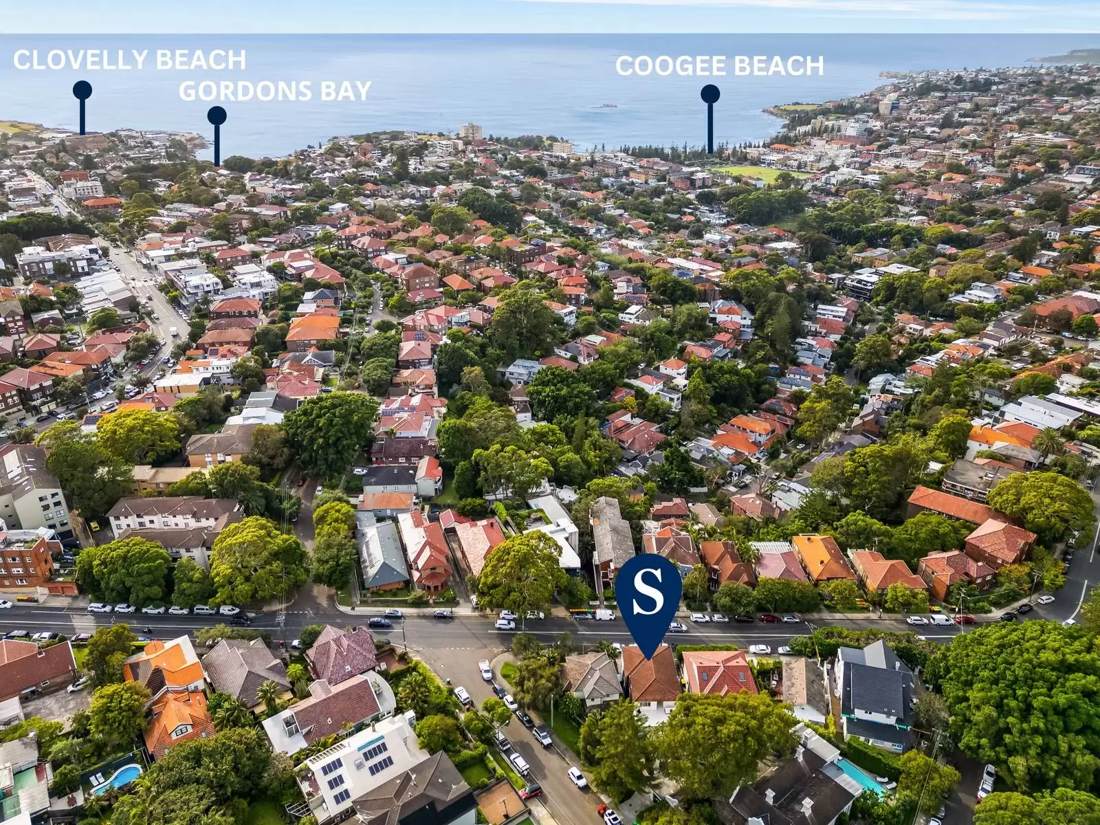 3-3A Dick Street, Randwick Auction by Sydney Sotheby's International Realty - image 4