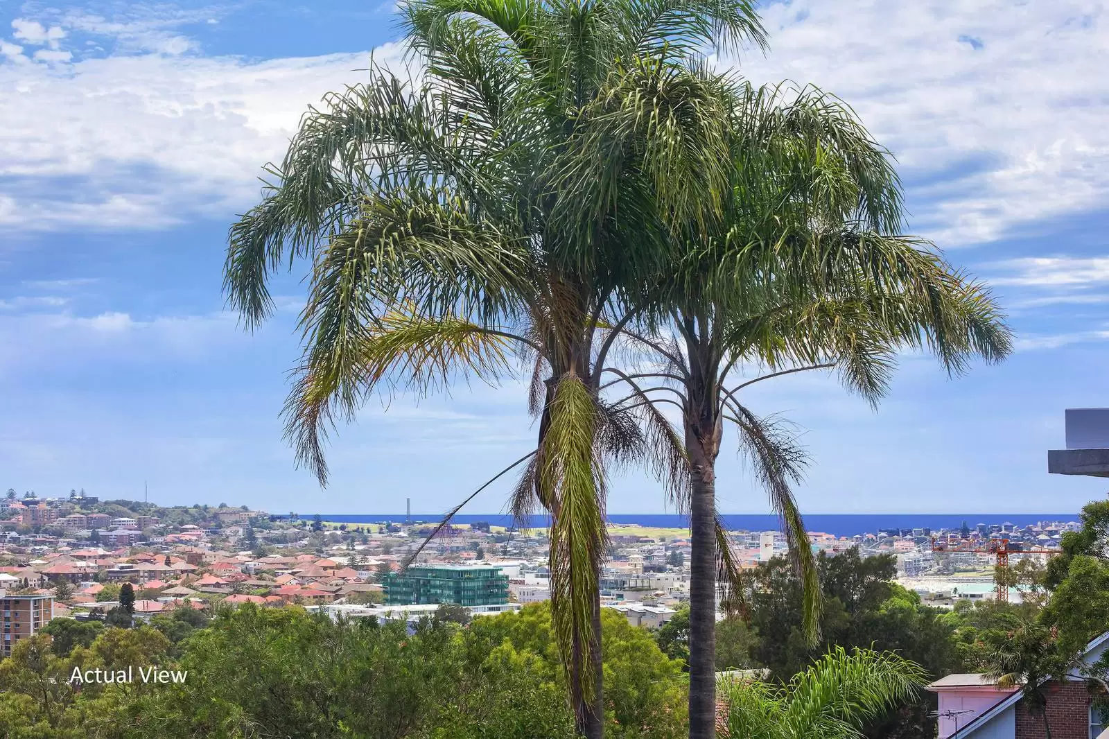 5 Moore Street, Bondi Auction by Sydney Sotheby's International Realty - image 3