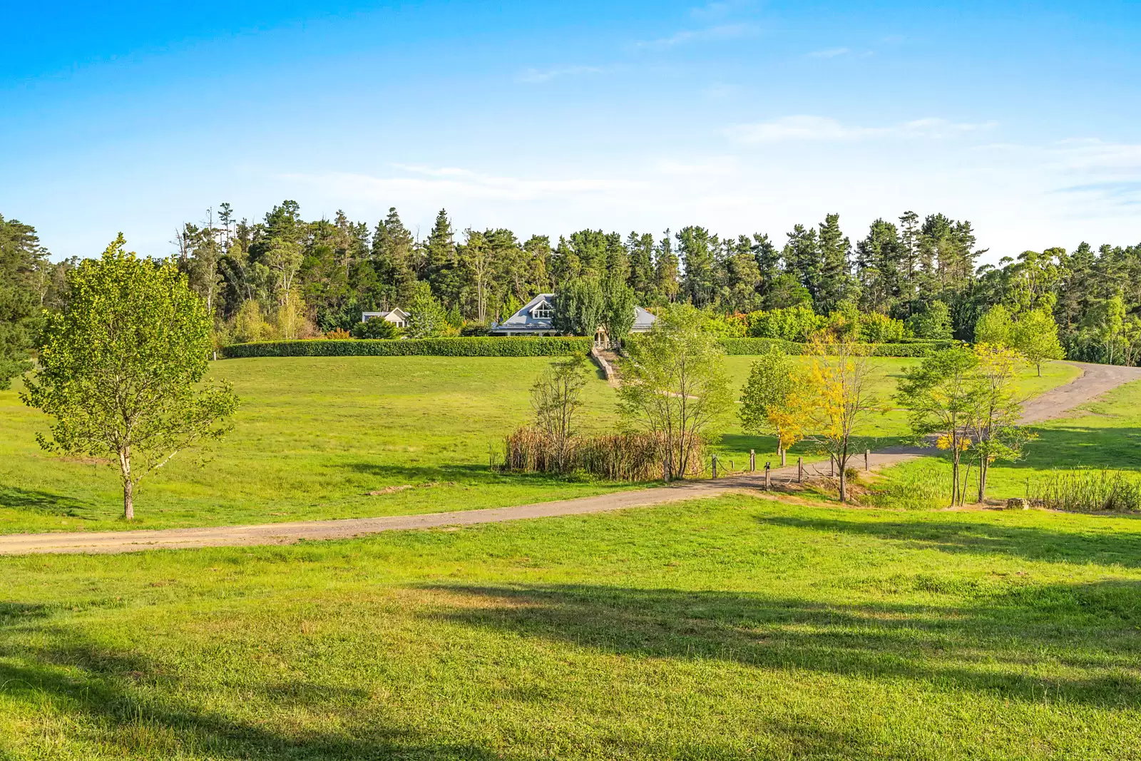 234 Corang Post Office Road, Braidwood Auction by Sydney Sotheby's International Realty - image 3