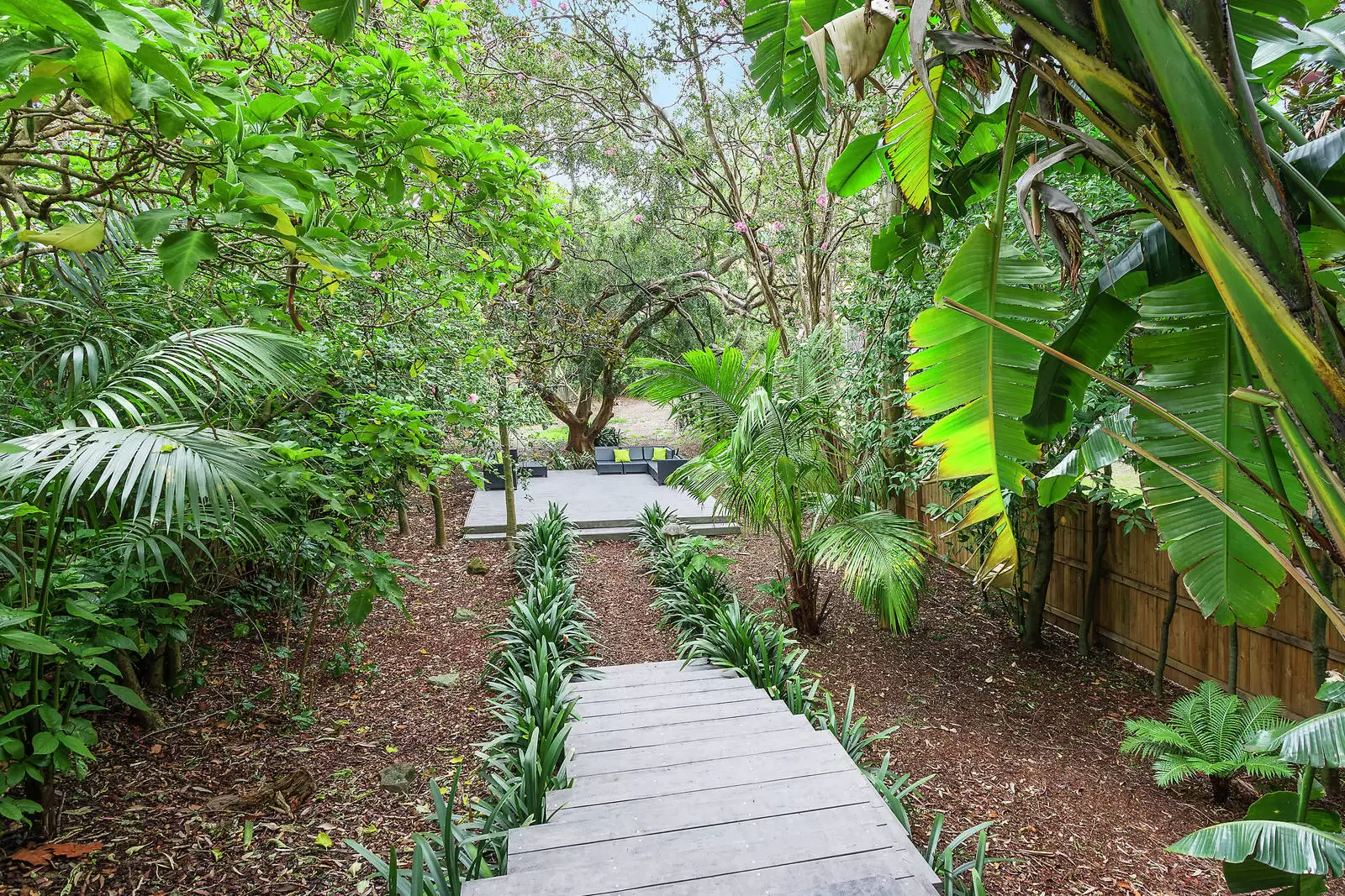 305 Alison Road, Coogee Auction by Sydney Sotheby's International Realty - image 6