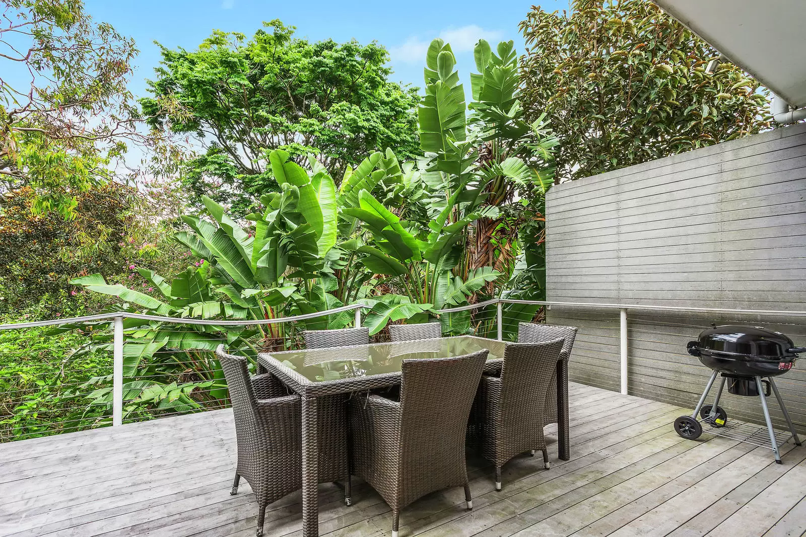 305 Alison Road, Coogee Auction by Sydney Sotheby's International Realty - image 2