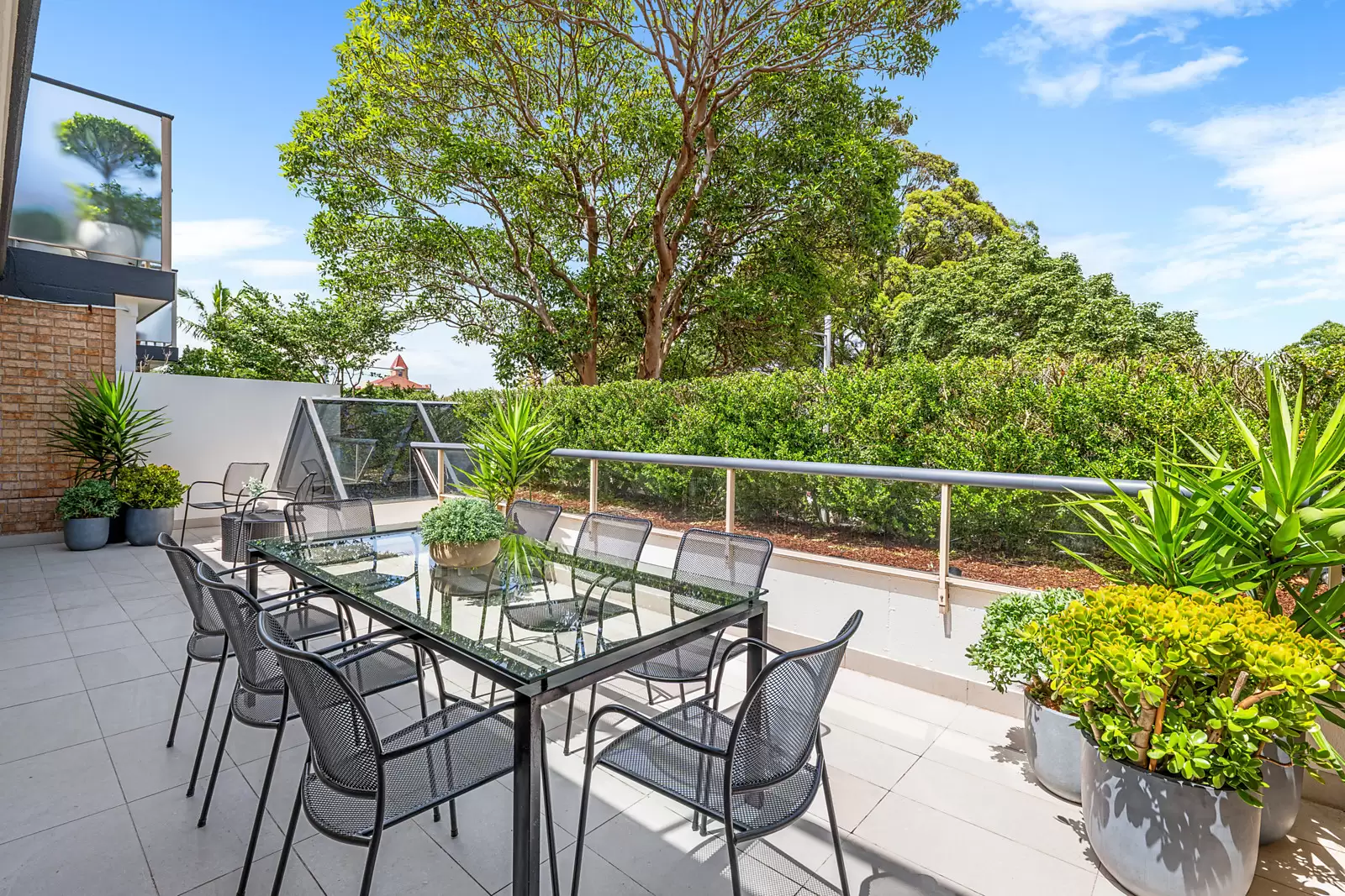 2/1 Bellevue Road, Bellevue Hill Auction by Sydney Sotheby's International Realty - image 9