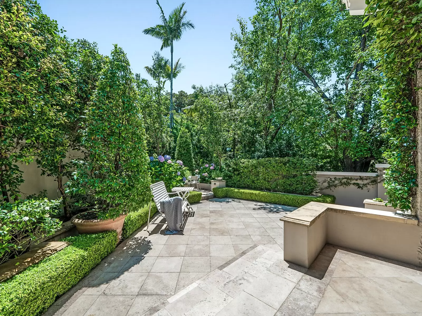 10 Greenoaks Avenue, Darling Point Auction by Sydney Sotheby's International Realty - image 7