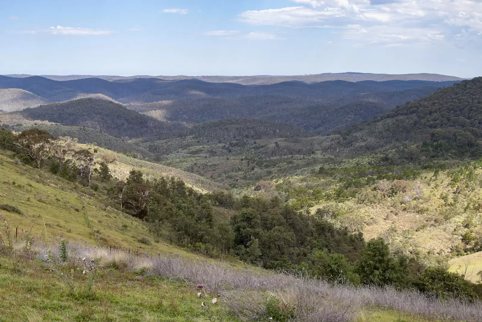 00 Soldiers Settlement Road, Taralga Auction by Sydney Sotheby's International Realty - image 8