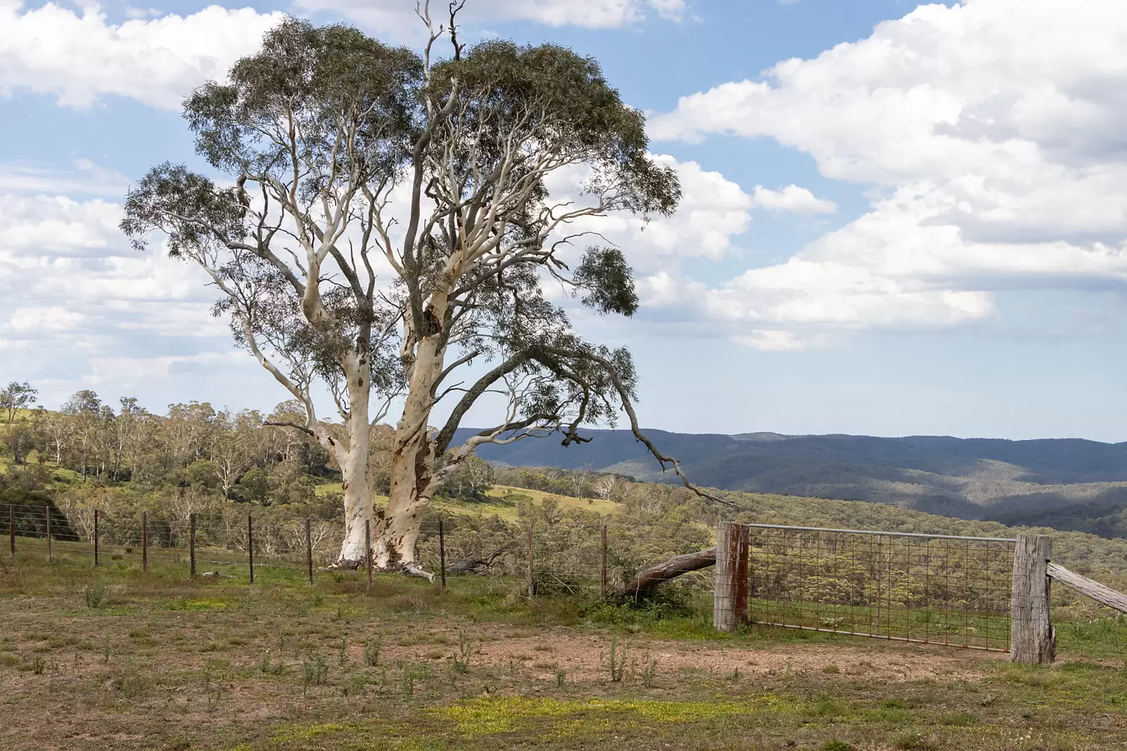 00 Soldiers Settlement Road, Taralga Auction by Sydney Sotheby's International Realty - image 11