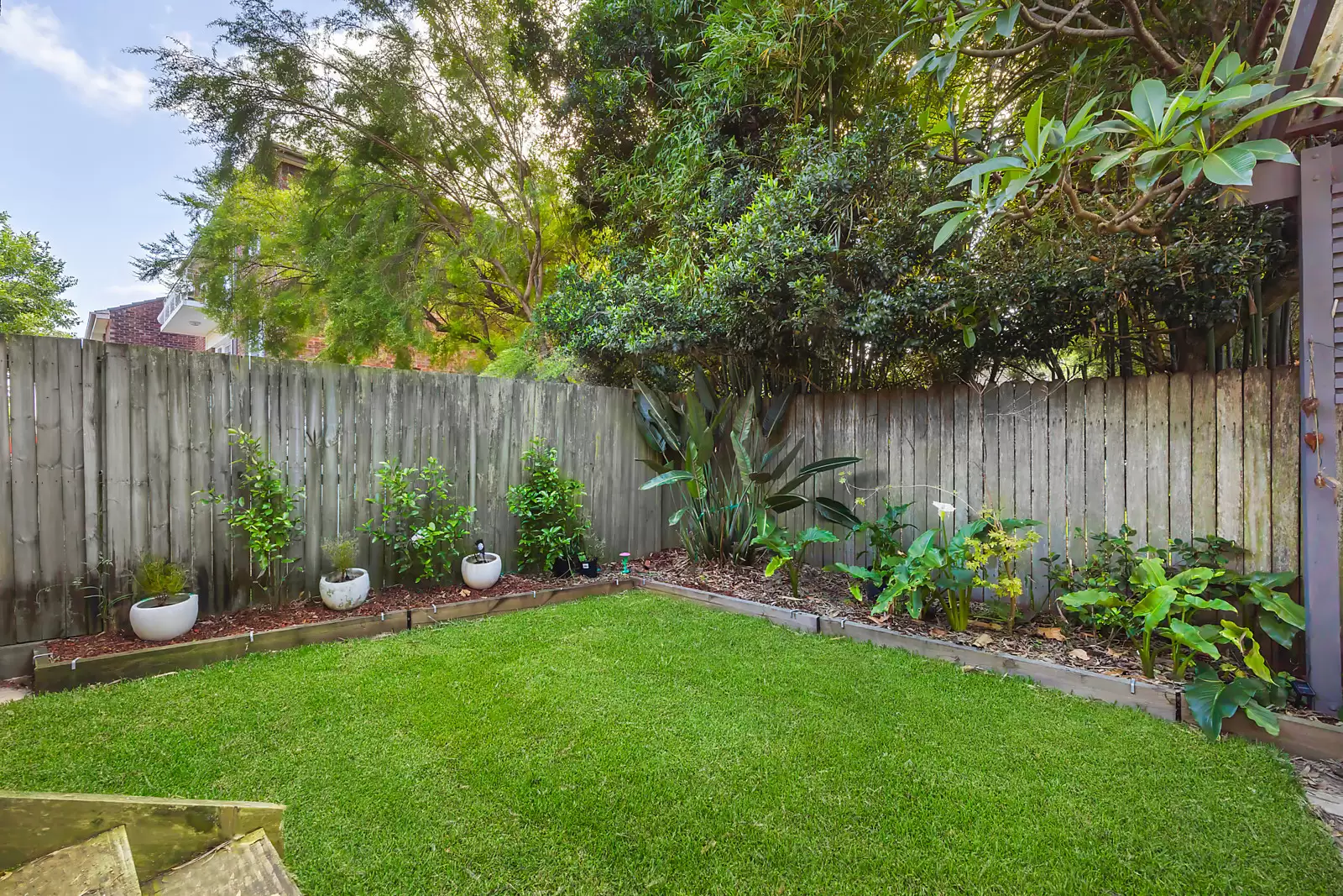 2 Caerleon Crescent, Randwick Auction by Sydney Sotheby's International Realty - image 3