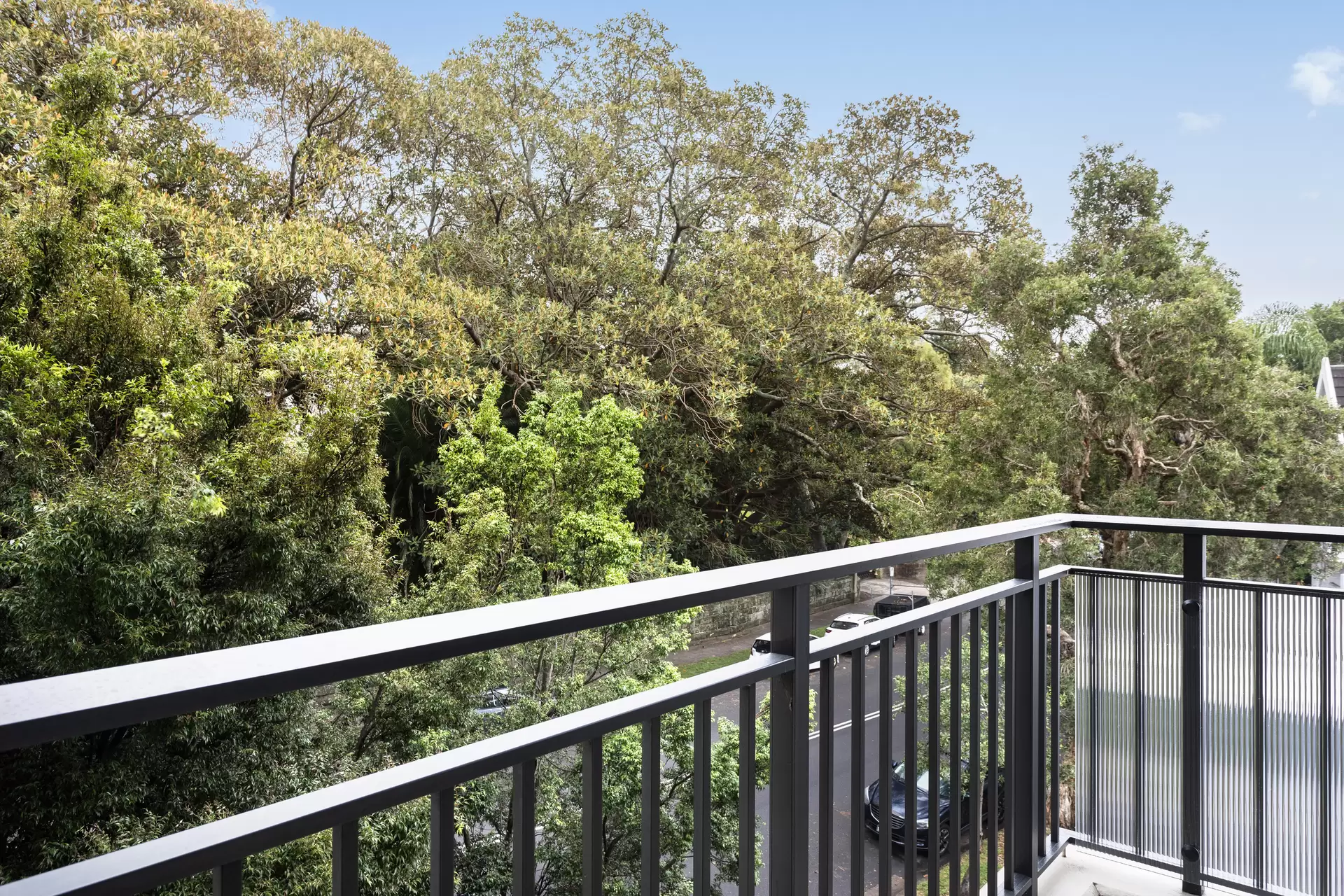 302/109 Darling Point Road, Darling Point Auction by Sydney Sotheby's International Realty - image 1