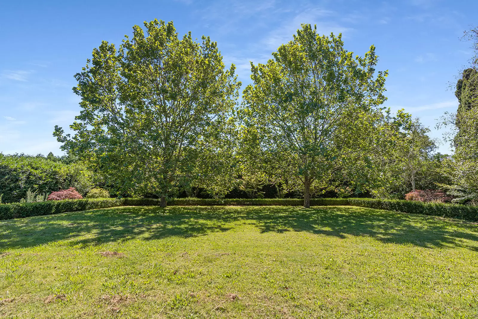 11 Links Road, Burradoo For Sale by Sydney Sotheby's International Realty - image 23