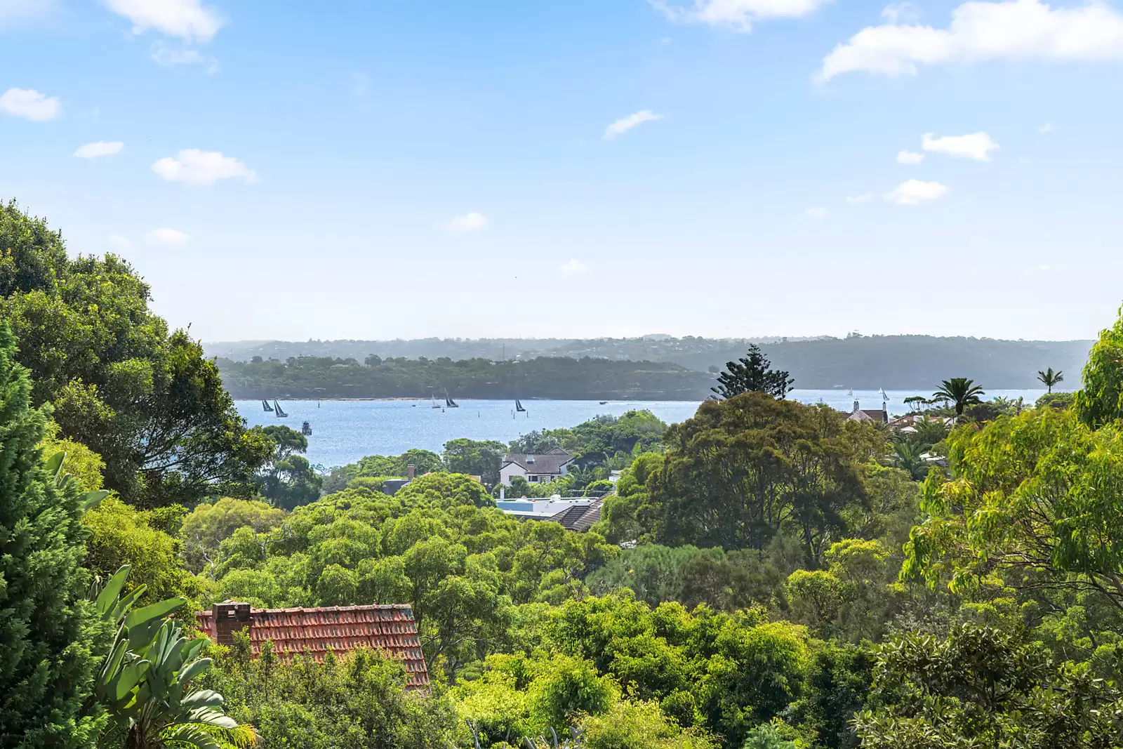 80A Hopetoun Avenue, Vaucluse For Sale by Sydney Sotheby's International Realty - image 3