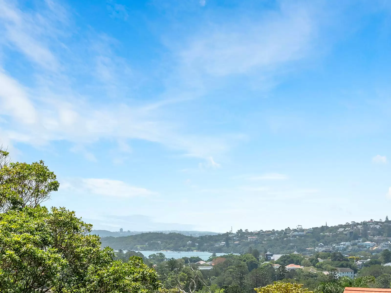 36 Bundarra Road, Bellevue Hill Auction by Sydney Sotheby's International Realty - image 3