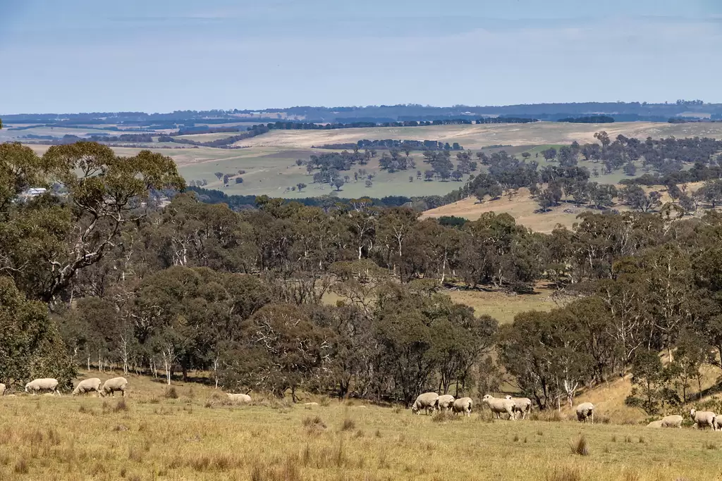 1169 Golspie Road, Taralga Auction by Sydney Sotheby's International Realty