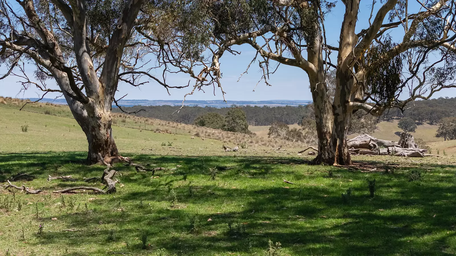 1169 Golspie Road, Taralga Auction by Sydney Sotheby's International Realty - image 2