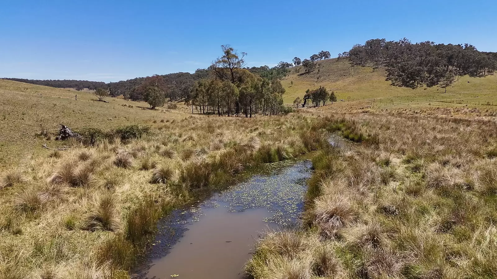 1169 Golspie Road, Taralga Auction by Sydney Sotheby's International Realty - image 7