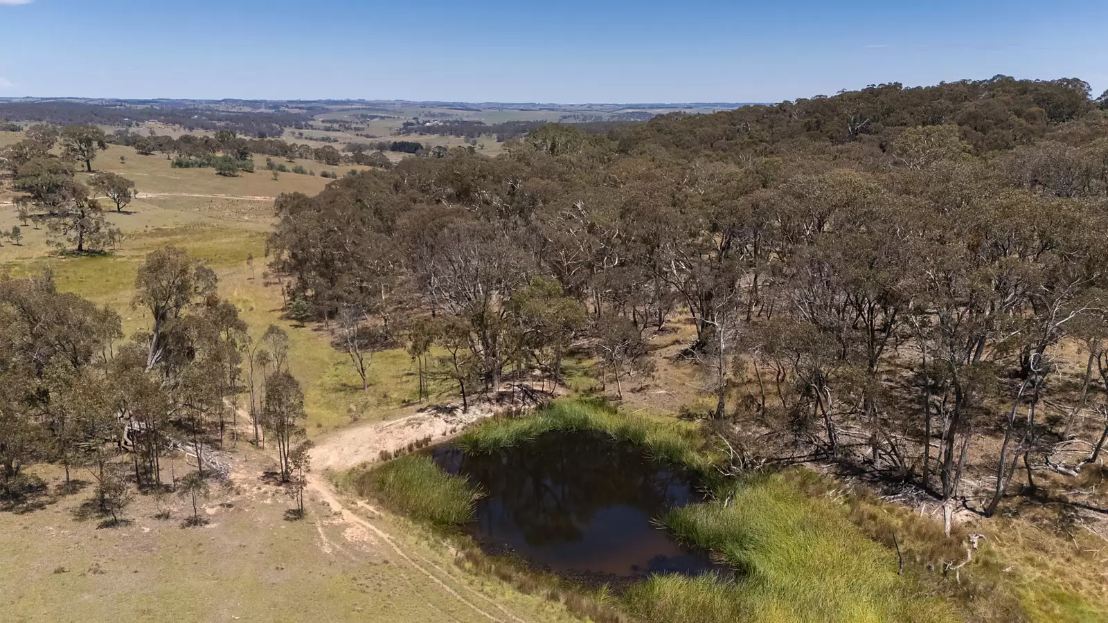 1169 Golspie Road, Taralga Auction by Sydney Sotheby's International Realty - image 4