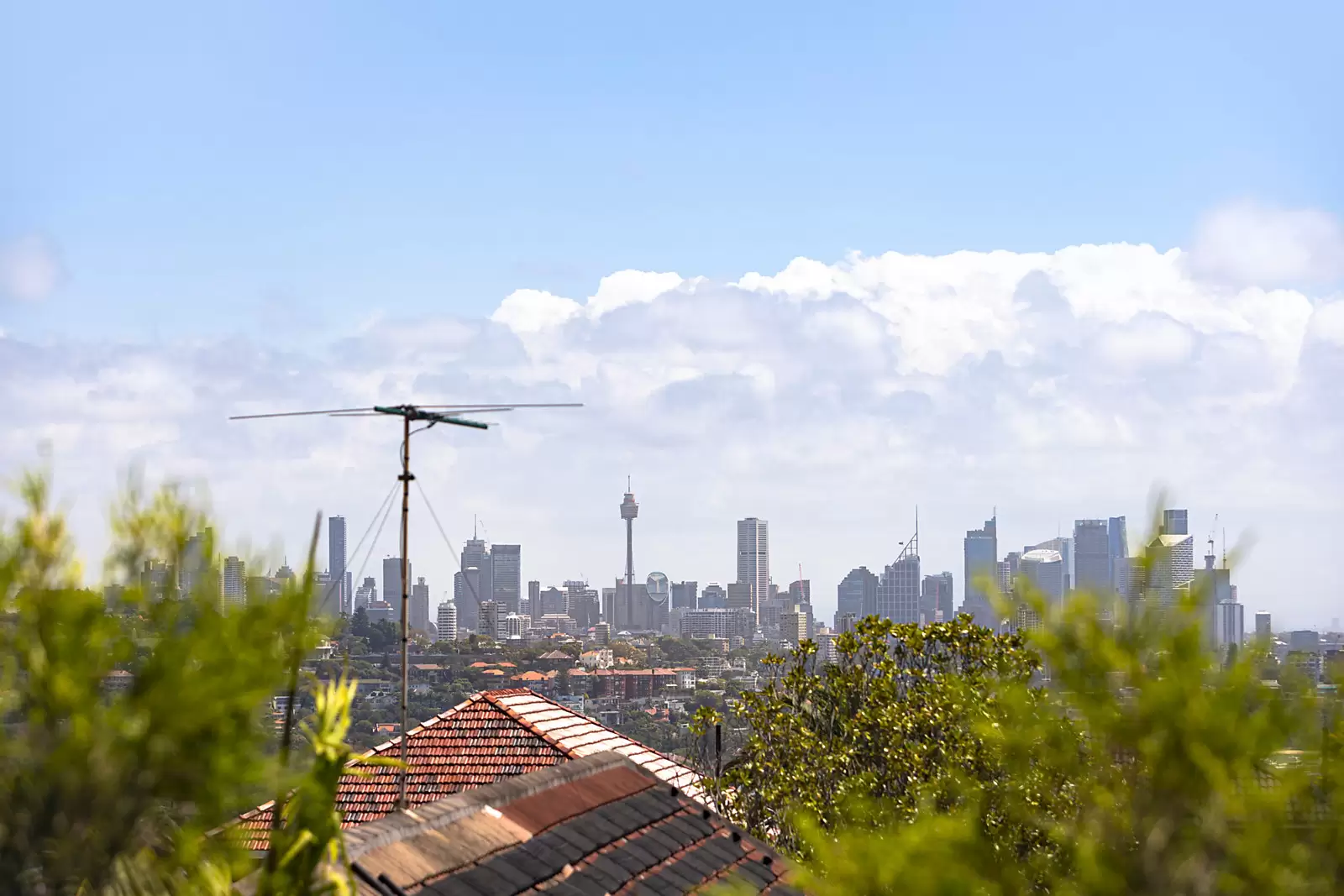 108 Dover Road, Dover Heights Auction by Sydney Sotheby's International Realty - image 9