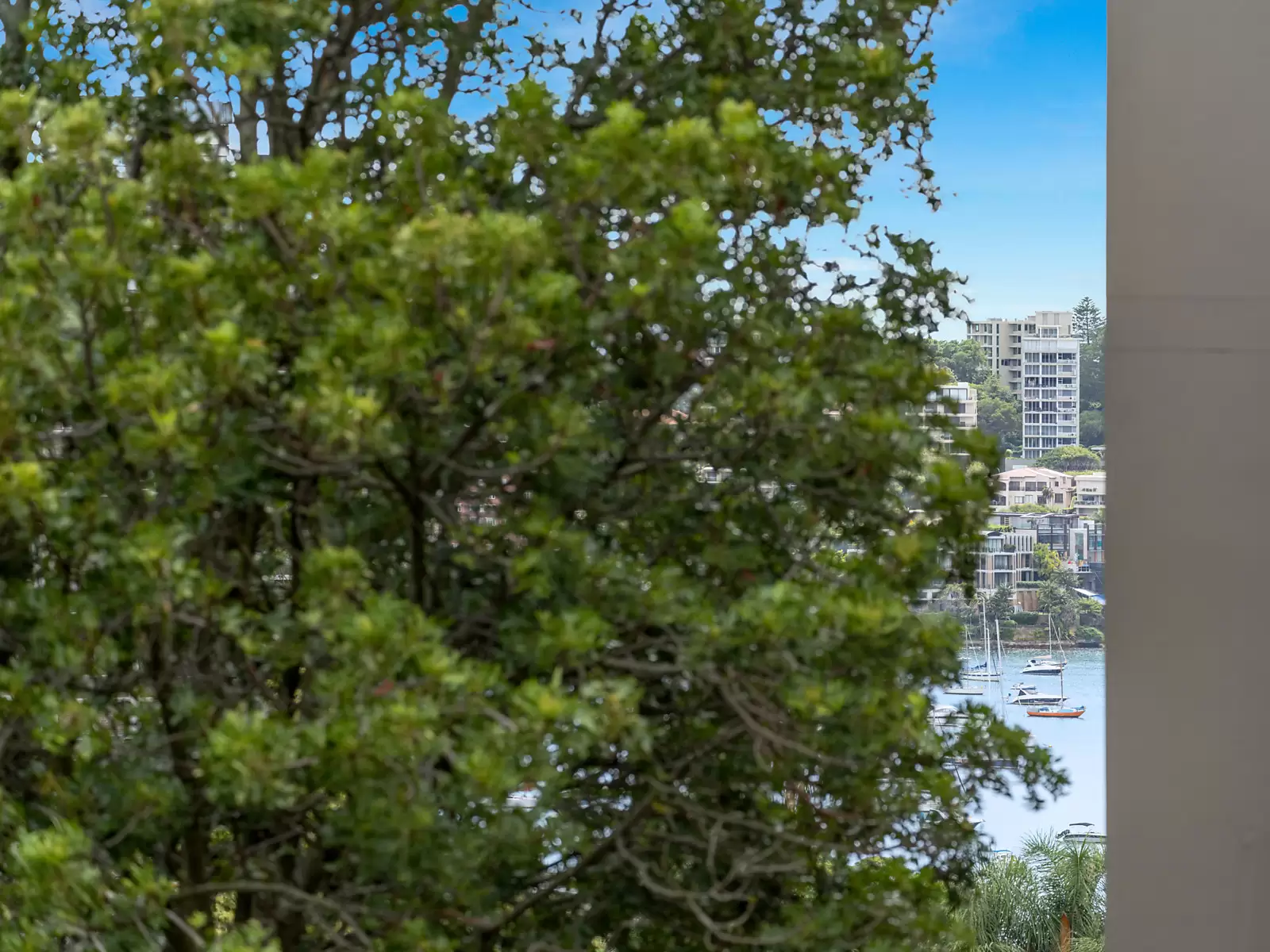 17/5 St Marks Road, Darling Point Auction by Sydney Sotheby's International Realty - image 9