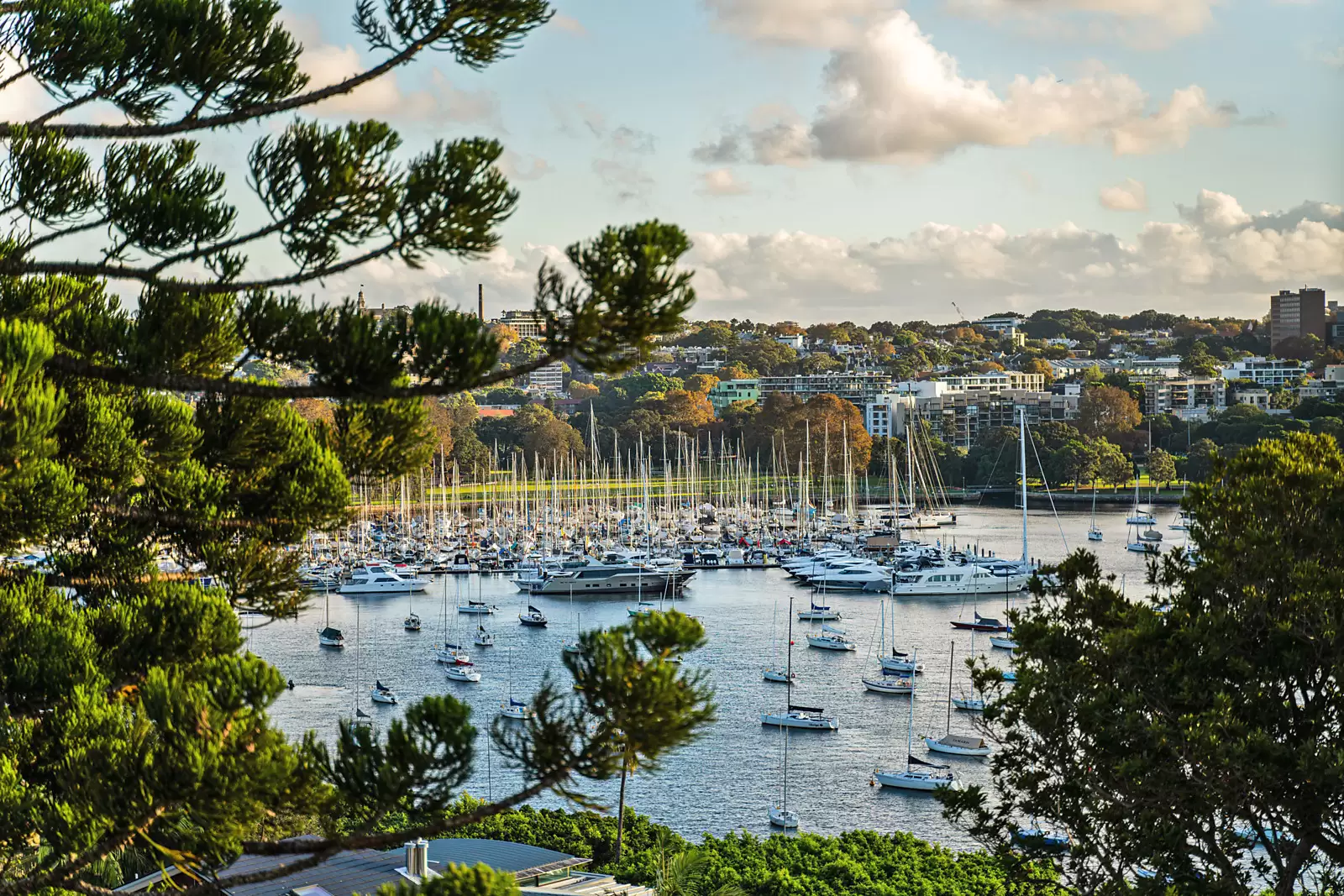 7C/21 Thornton Street, Darling Point Auction by Sydney Sotheby's International Realty - image 12