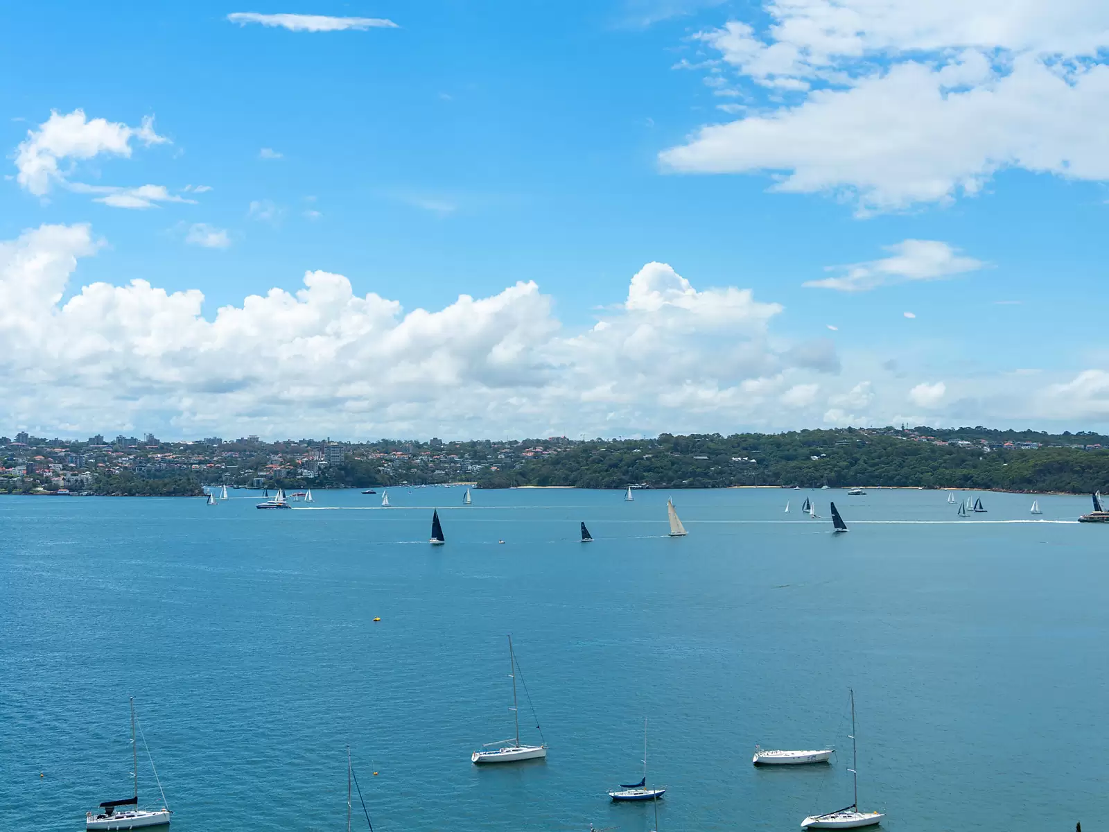 7C/21 Thornton Street, Darling Point Auction by Sydney Sotheby's International Realty - image 19