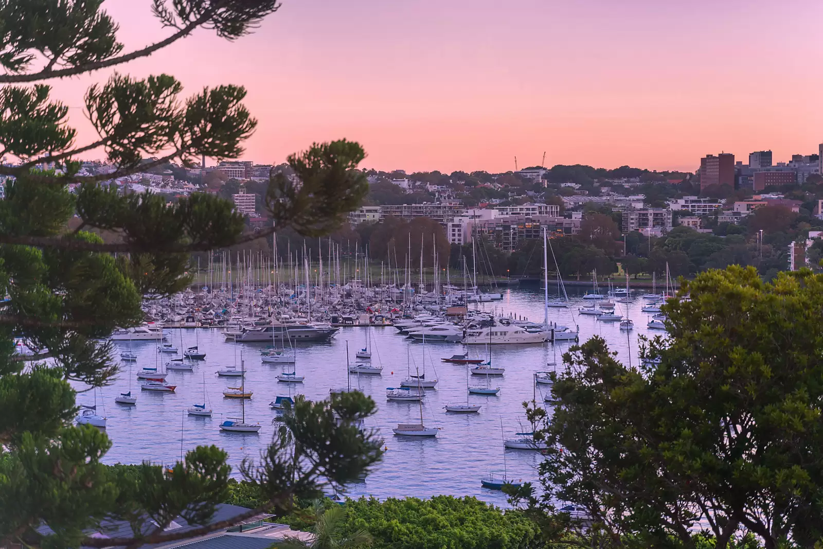 7C/21 Thornton Street, Darling Point Auction by Sydney Sotheby's International Realty - image 17