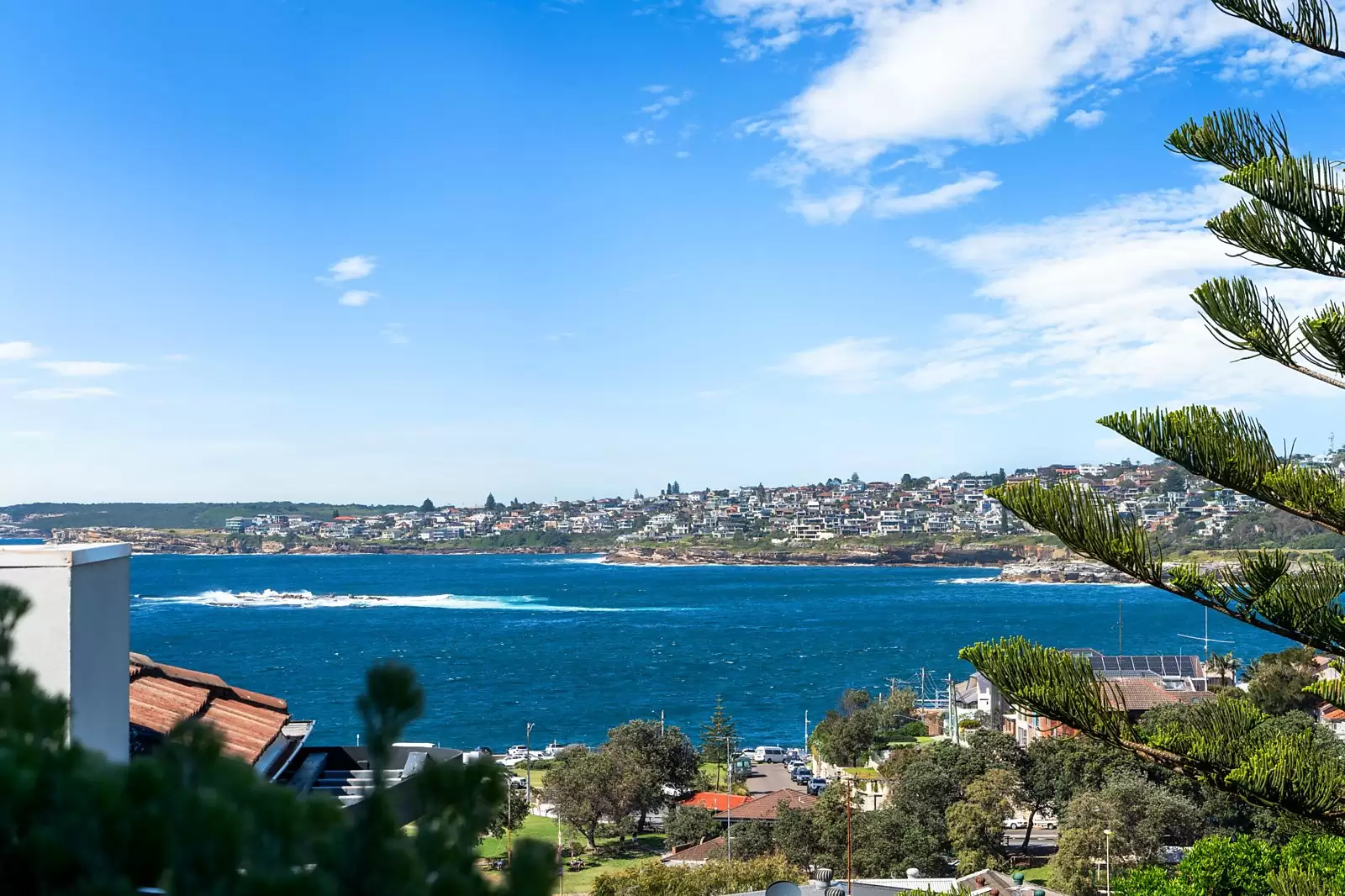 9 Campbell Street, Clovelly For Sale by Sydney Sotheby's International Realty - image 20