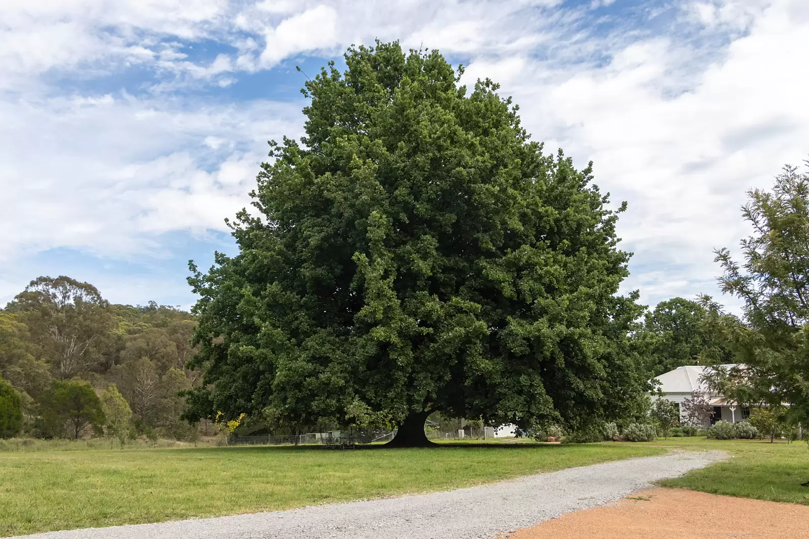 379 Newfoundland Road, Taralga Auction by Sydney Sotheby's International Realty - image 2