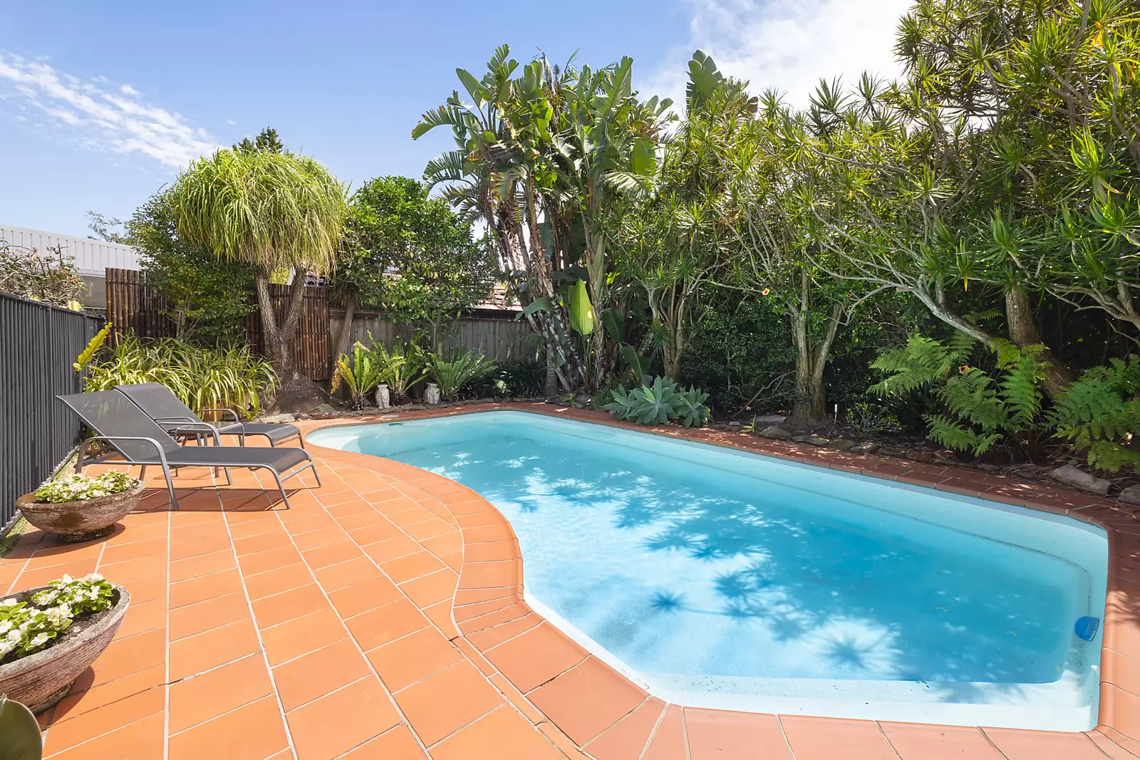 22 Gale Road, Maroubra Auction by Sydney Sotheby's International Realty - image 10