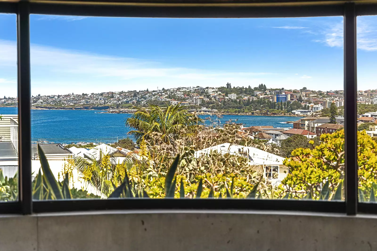 8 Northumberland Street, Clovelly Auction by Sydney Sotheby's International Realty - image 9