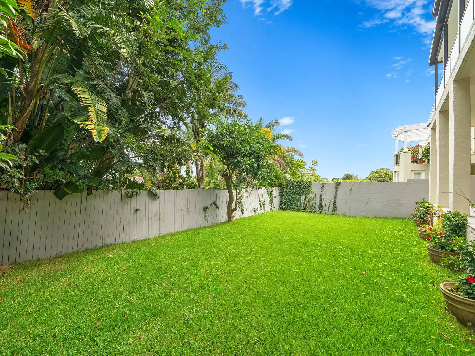 20 Kambala Road, Bellevue Hill For Sale by Sydney Sotheby's International Realty - image 6