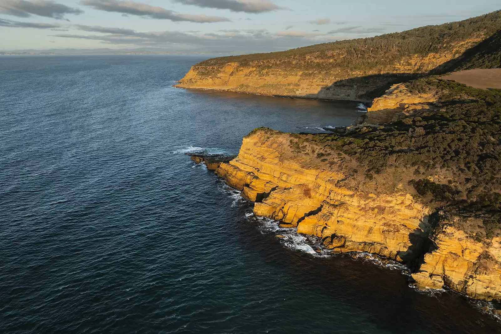 Roaring Beach, Nubeena Auction by Sydney Sotheby's International Realty - image 22