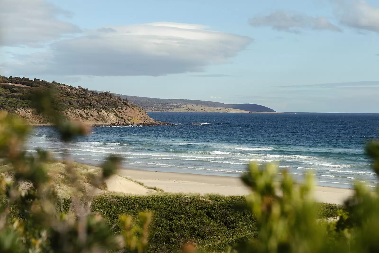 Roaring Beach, Nubeena Auction by Sydney Sotheby's International Realty - image 12