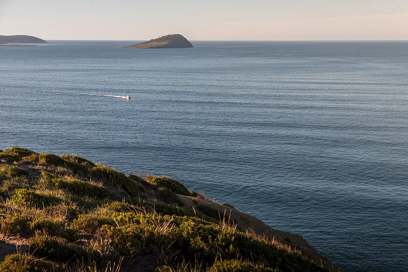 Roaring Beach, Nubeena Auction by Sydney Sotheby's International Realty - image 20