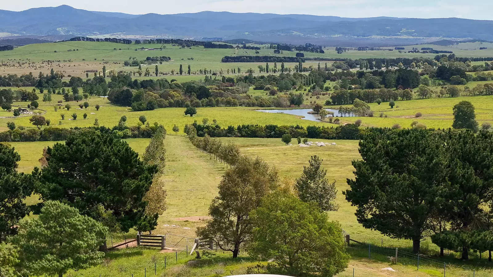 11191 Nerriga Road, Braidwood Auction by Sydney Sotheby's International Realty - image 5