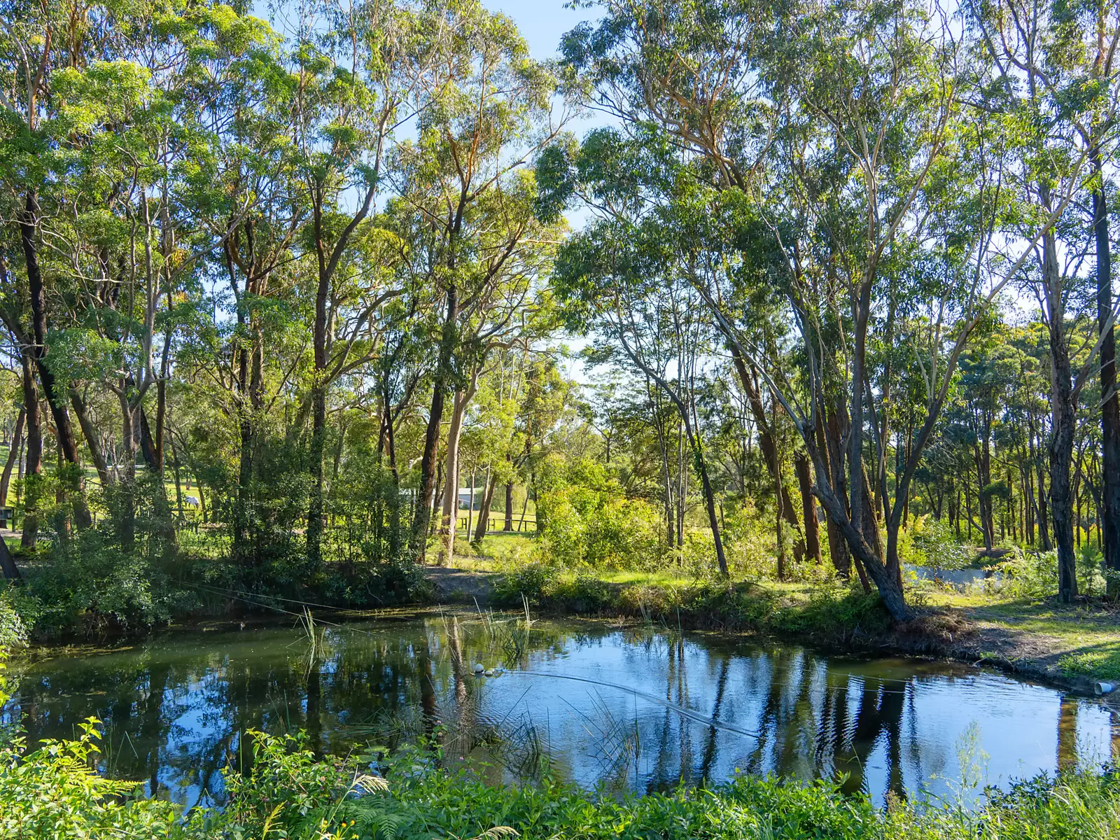 176 Greta Road, Kulnura For Sale by Sydney Sotheby's International Realty - image 20