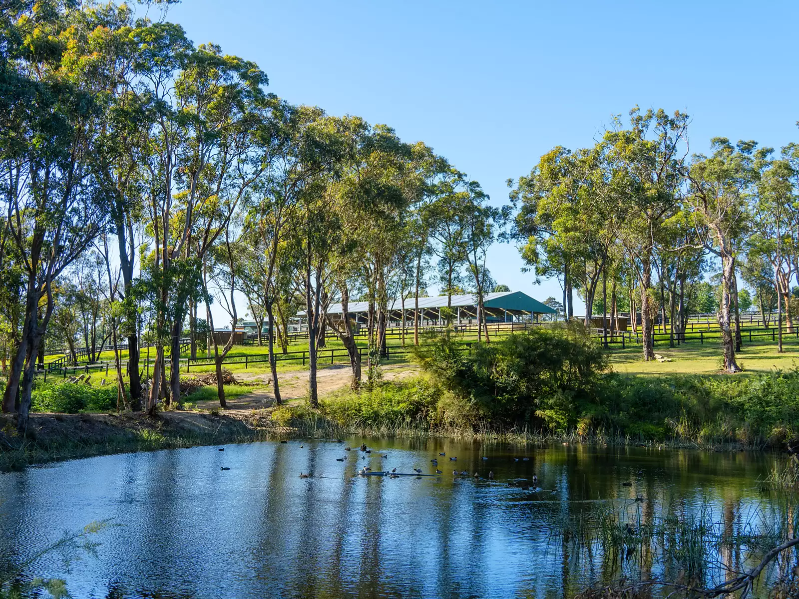 176 Greta Road, Kulnura For Sale by Sydney Sotheby's International Realty - image 19