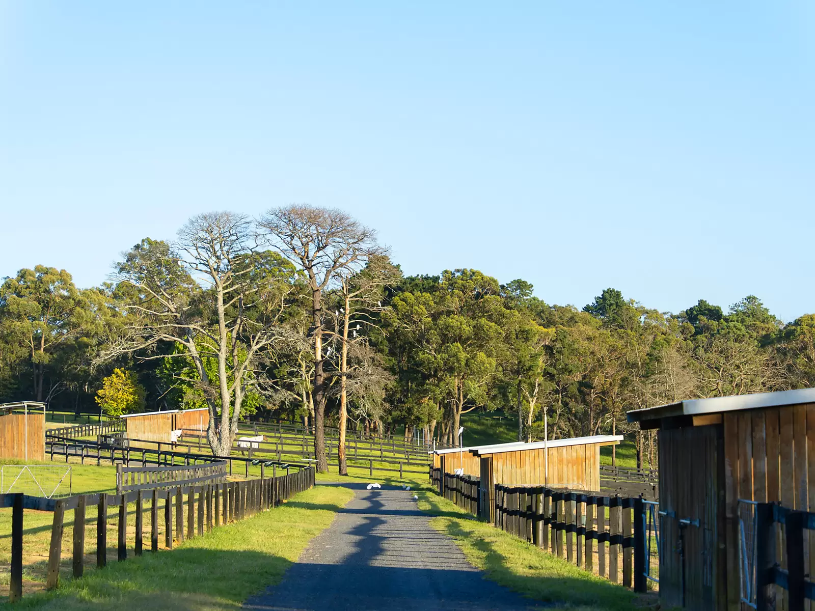 176 Greta Road, Kulnura For Sale by Sydney Sotheby's International Realty - image 7