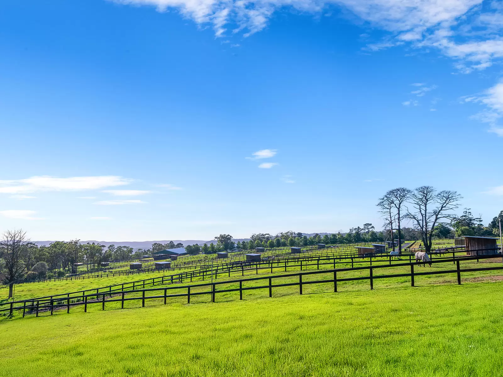 176 Greta Road, Kulnura For Sale by Sydney Sotheby's International Realty - image 6