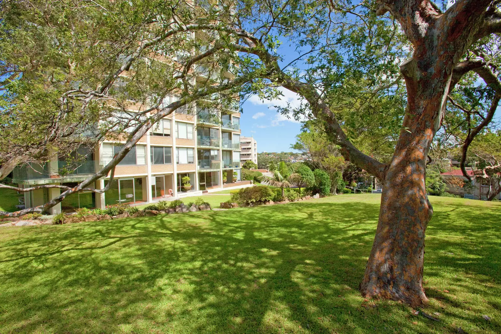 19G/3 Darling Point Road, Darling Point Leased by Sydney Sotheby's International Realty - image 22