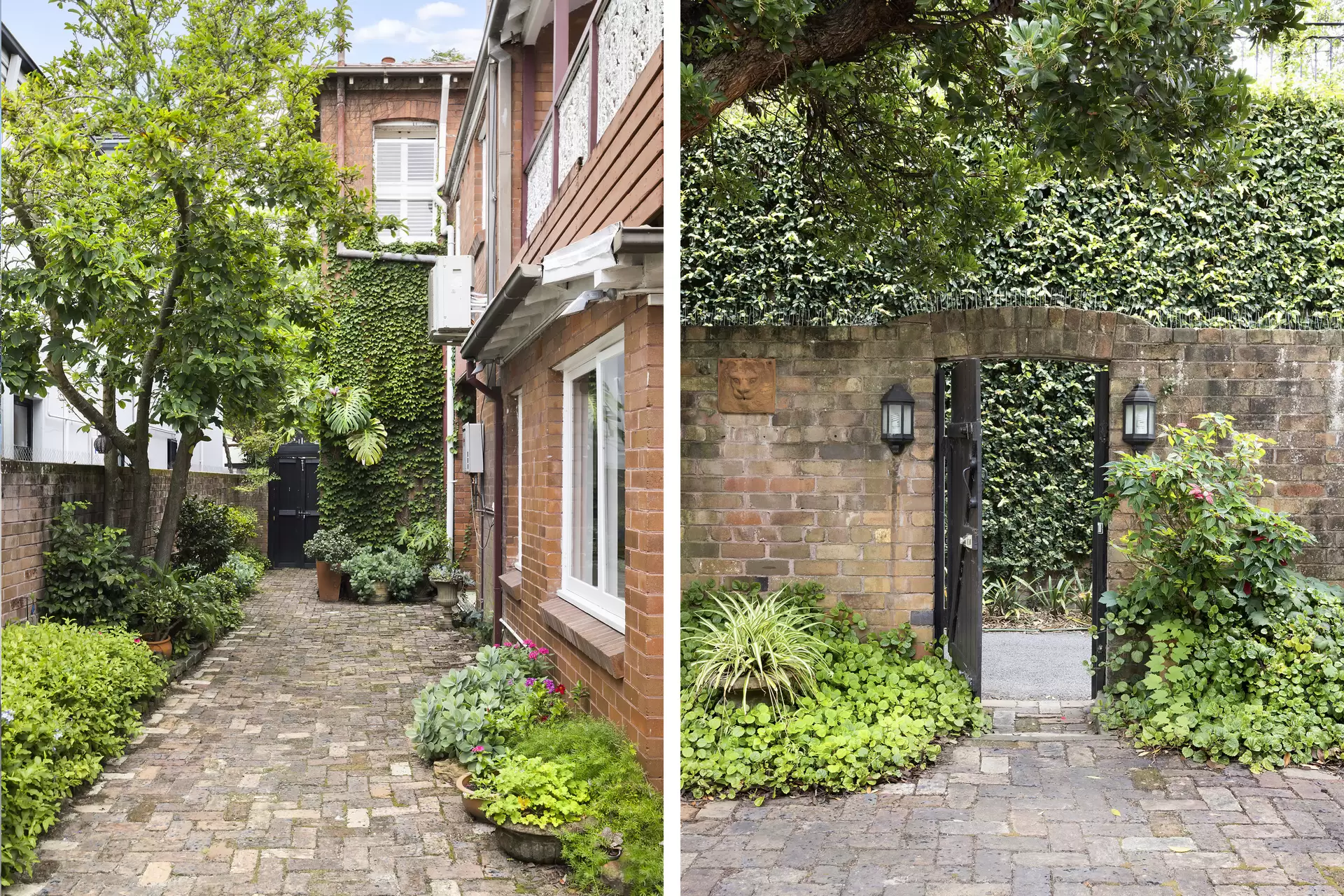 57 Cross Street, Double Bay Auction by Sydney Sotheby's International Realty - image 14