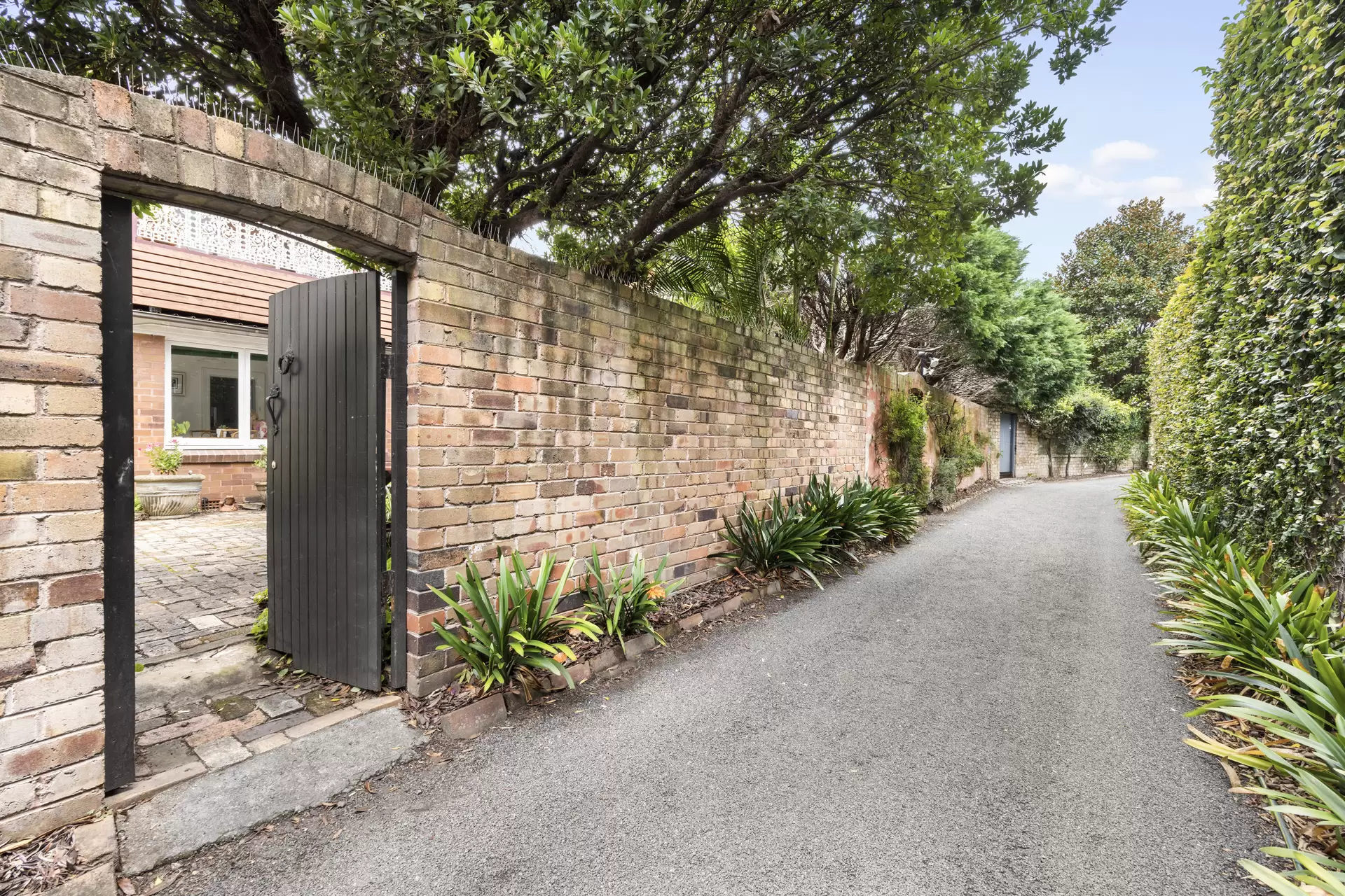 57 Cross Street, Double Bay Auction by Sydney Sotheby's International Realty - image 15
