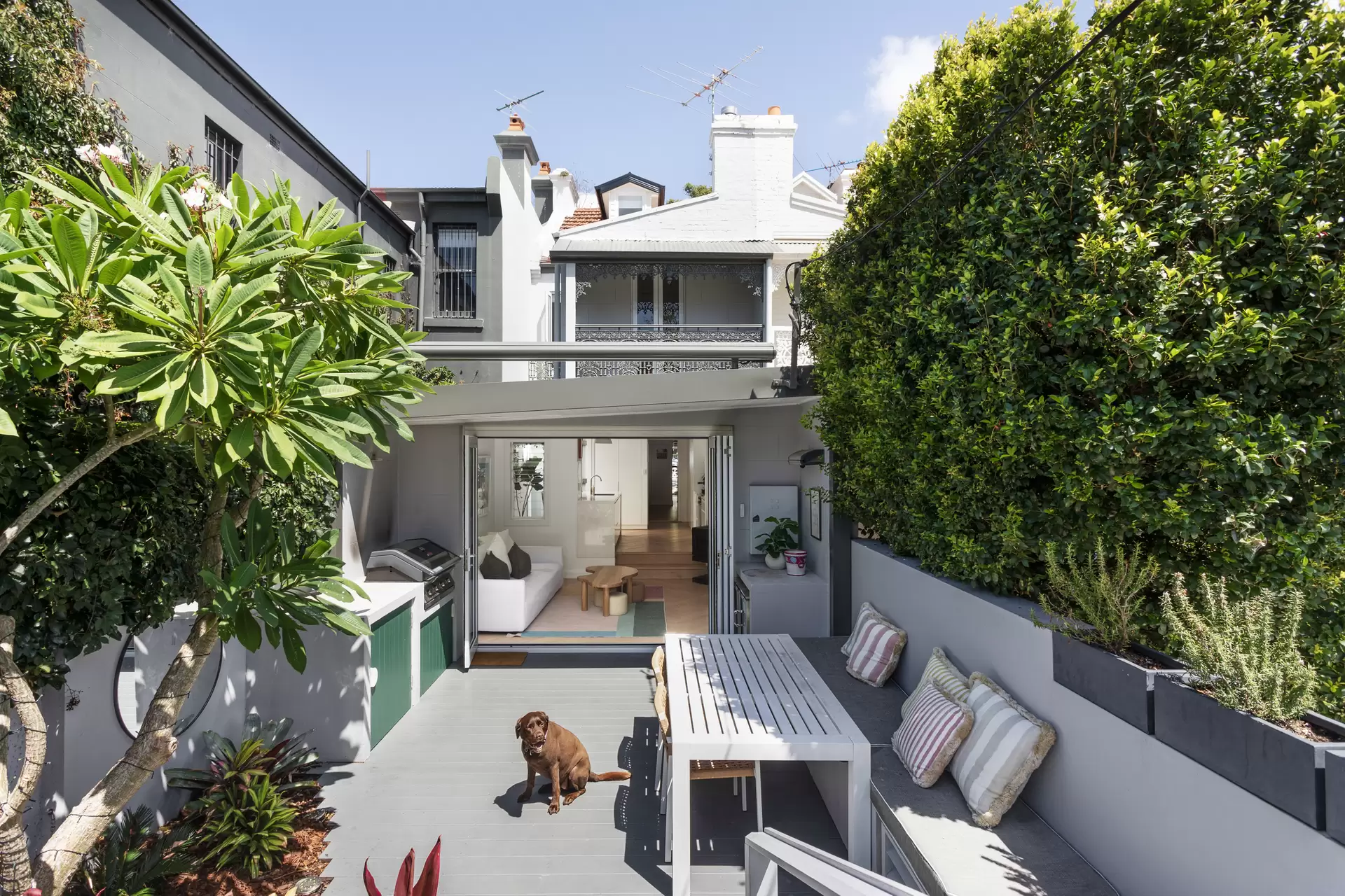 188 Hargrave Street, Paddington Auction by Sydney Sotheby's International Realty - image 1