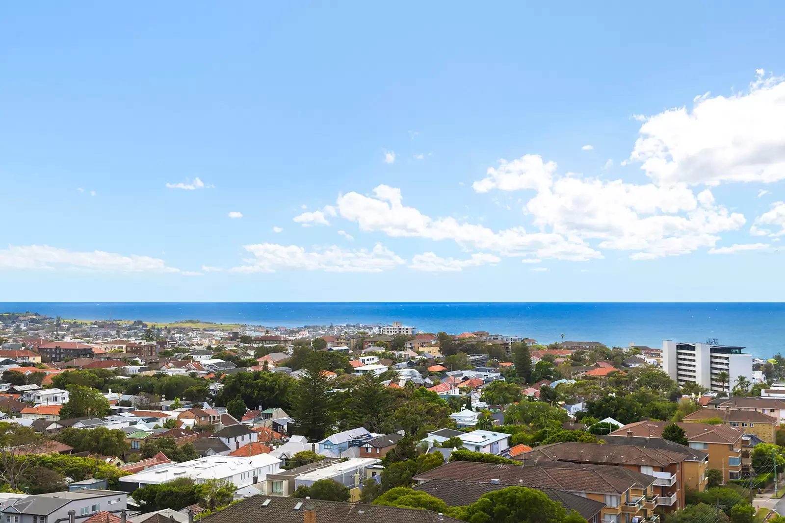 28/205 Birrell Street, Waverley Auction by Sydney Sotheby's International Realty - image 4