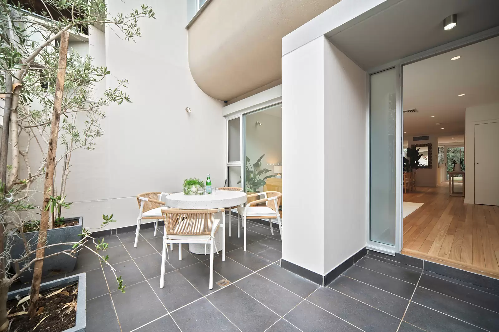 19/69-87 Dangar Street, Randwick Auction by Sydney Sotheby's International Realty - image 12