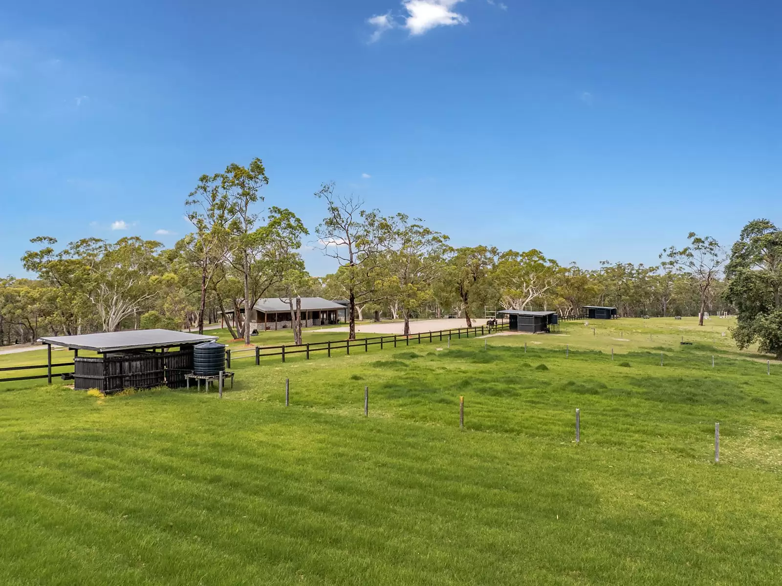 26 Geelans Road, Arcadia For Sale by Sydney Sotheby's International Realty - image 6