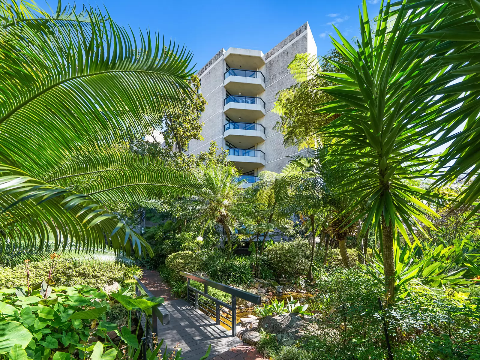 1101/170 Ocean Street, Edgecliff Auction by Sydney Sotheby's International Realty - image 18