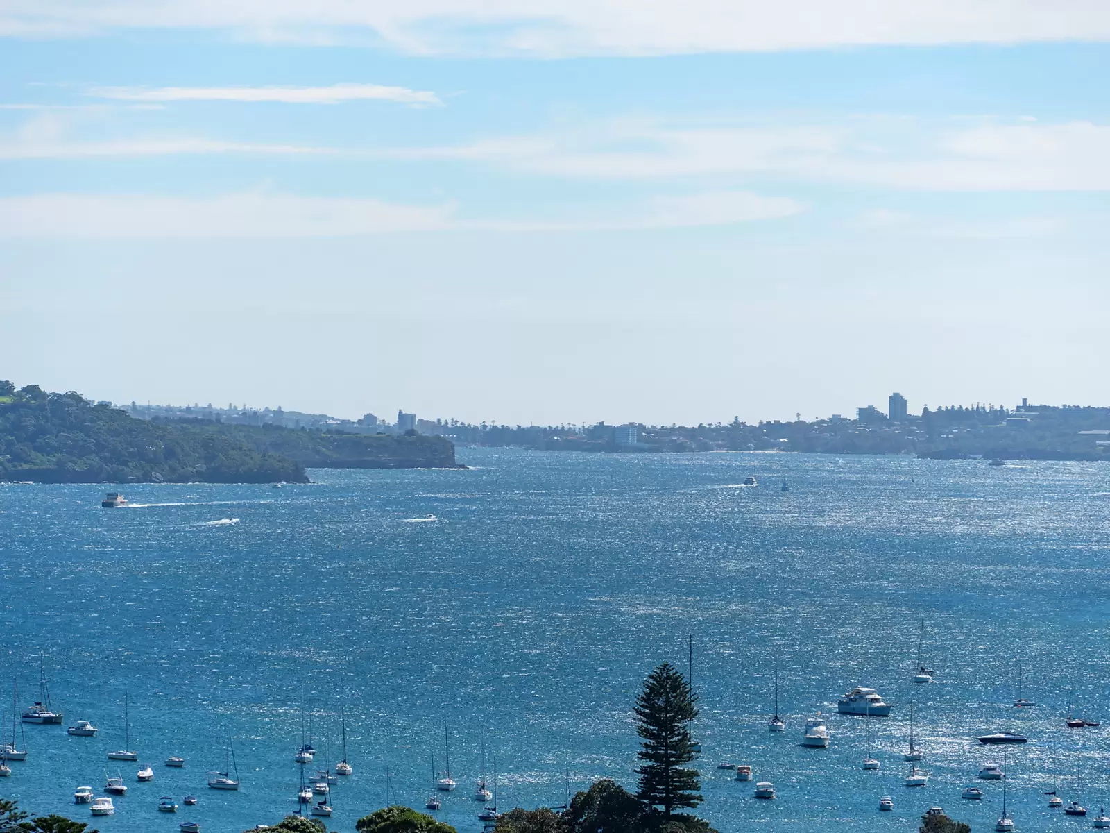 1101/170 Ocean Street, Edgecliff Auction by Sydney Sotheby's International Realty - image 8