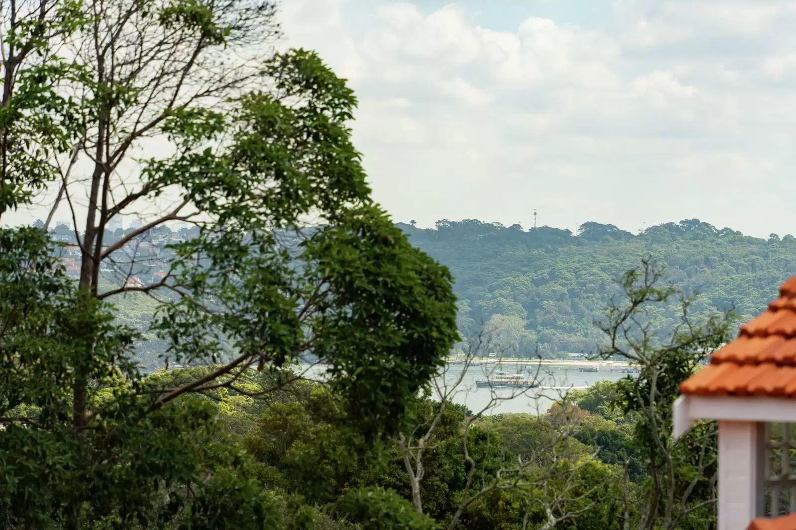 38 Hopetoun Avenue, Vaucluse For Sale by Sydney Sotheby's International Realty - image 22