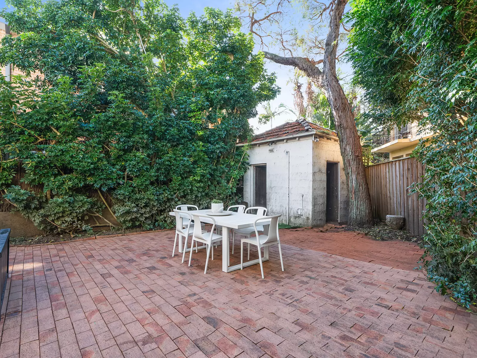 56 Warners Avenue, North Bondi Auction by Sydney Sotheby's International Realty - image 9