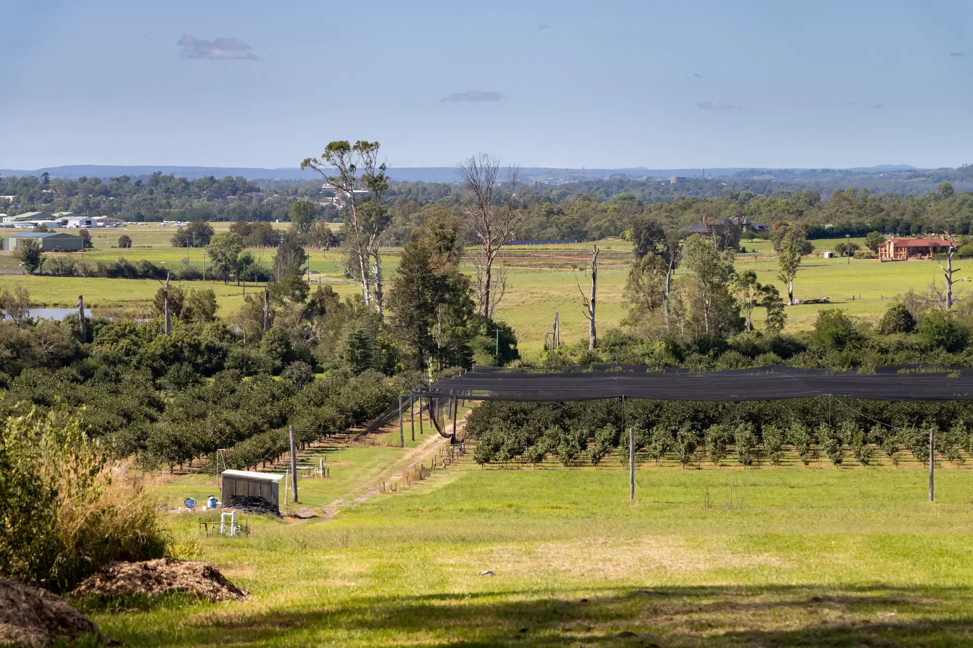 194 Cobbitty Road, Cobbitty For Sale by Sydney Sotheby's International Realty - image 6