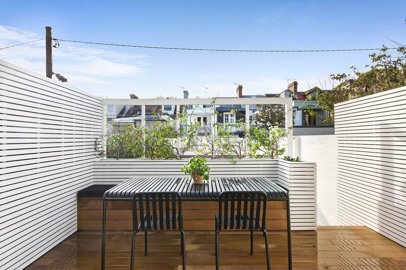 23 Hopetoun Street, Paddington Auction by Sydney Sotheby's International Realty - image 3
