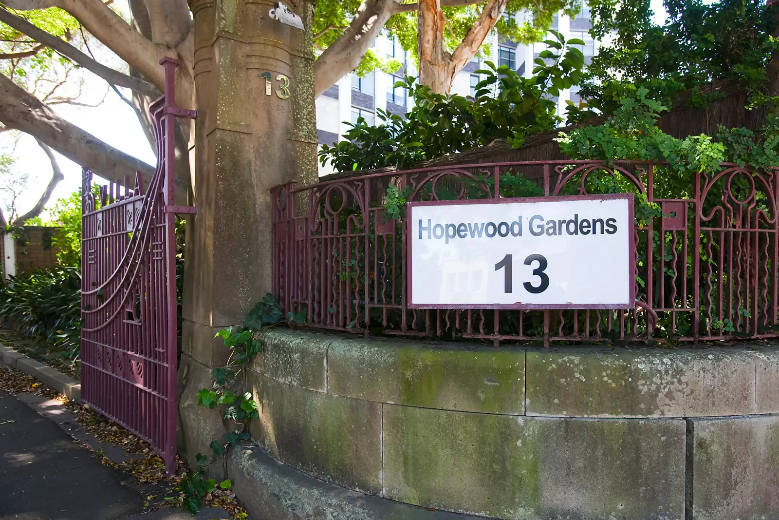 6C/13-15 Thornton Street, Darling Point Auction by Sydney Sotheby's International Realty - image 24